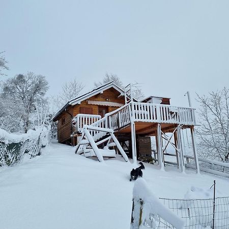 Gnezdo Vid-Ik Villa Catez ob Savi Eksteriør billede